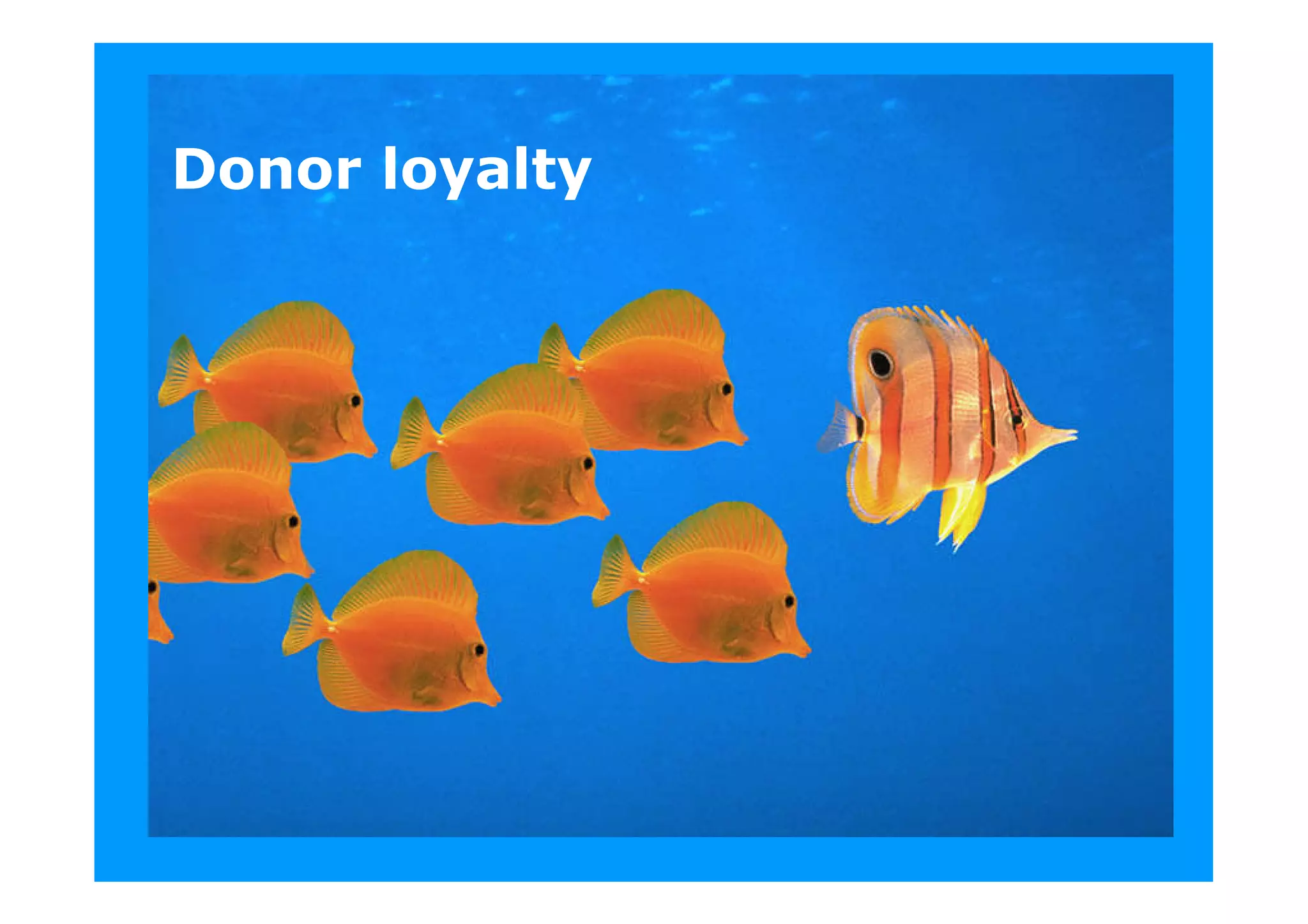 PBS Presentation - Final Presentation