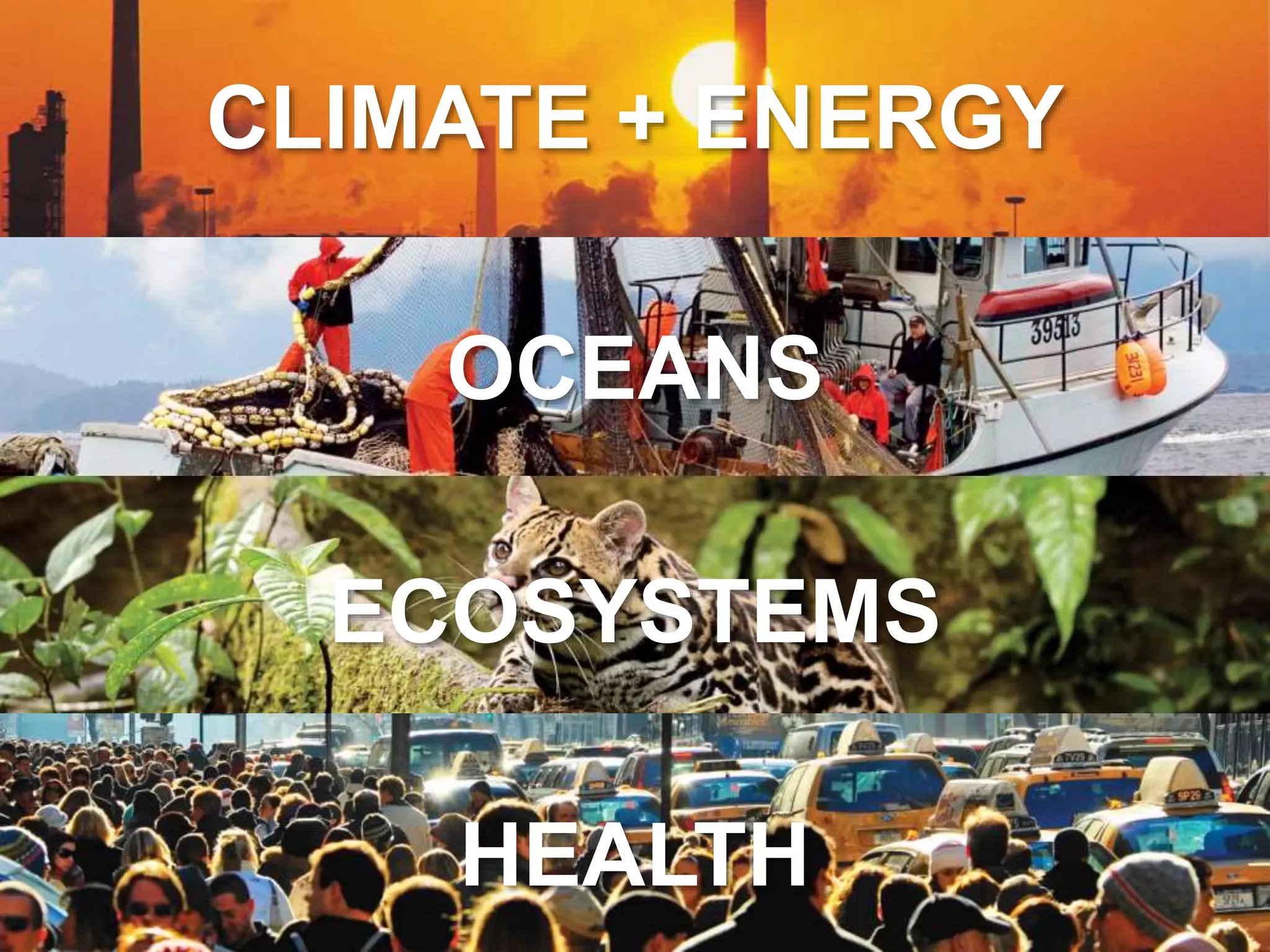 CLIMATE + ENERGY
OCEANS
ECOSYSTEMS
HEALTH
 