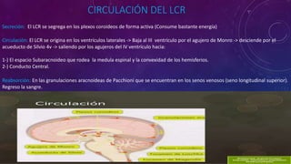 CIRCULACIÓN DEL LCR
Secreción: El LCR se segrega en los plexos coroideos de forma activa (Consume bastante energía)
Circulación: El LCR se origina en los ventrículos laterales -> Baja al III ventrículo por el agujero de Monro -> desciende por el
acueducto de Silvio 4v -> saliendo por los agujeros del IV ventrículo hacia:
1-) El espacio Subaracnoideo que rodea la medula espinal y la convexidad de los hemisferios.
2-) Conducto Central.
Reabsorción: En las granulaciones aracnoideas de Pacchioni que se encuentran en los senos venosos (seno longitudinal superior).
Regreso la sangre.
 