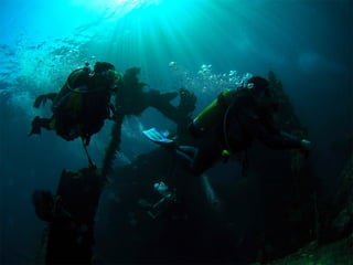 SettingsSci Method
TrendsProfessionals
Critical ThinkingEthicsExperimentsCorrelationsCase studies
ModernEarlyFunctionalStructuralDefinitions
 