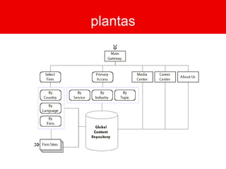 plantas 