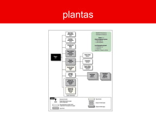 estudos Protótipos em papel 
