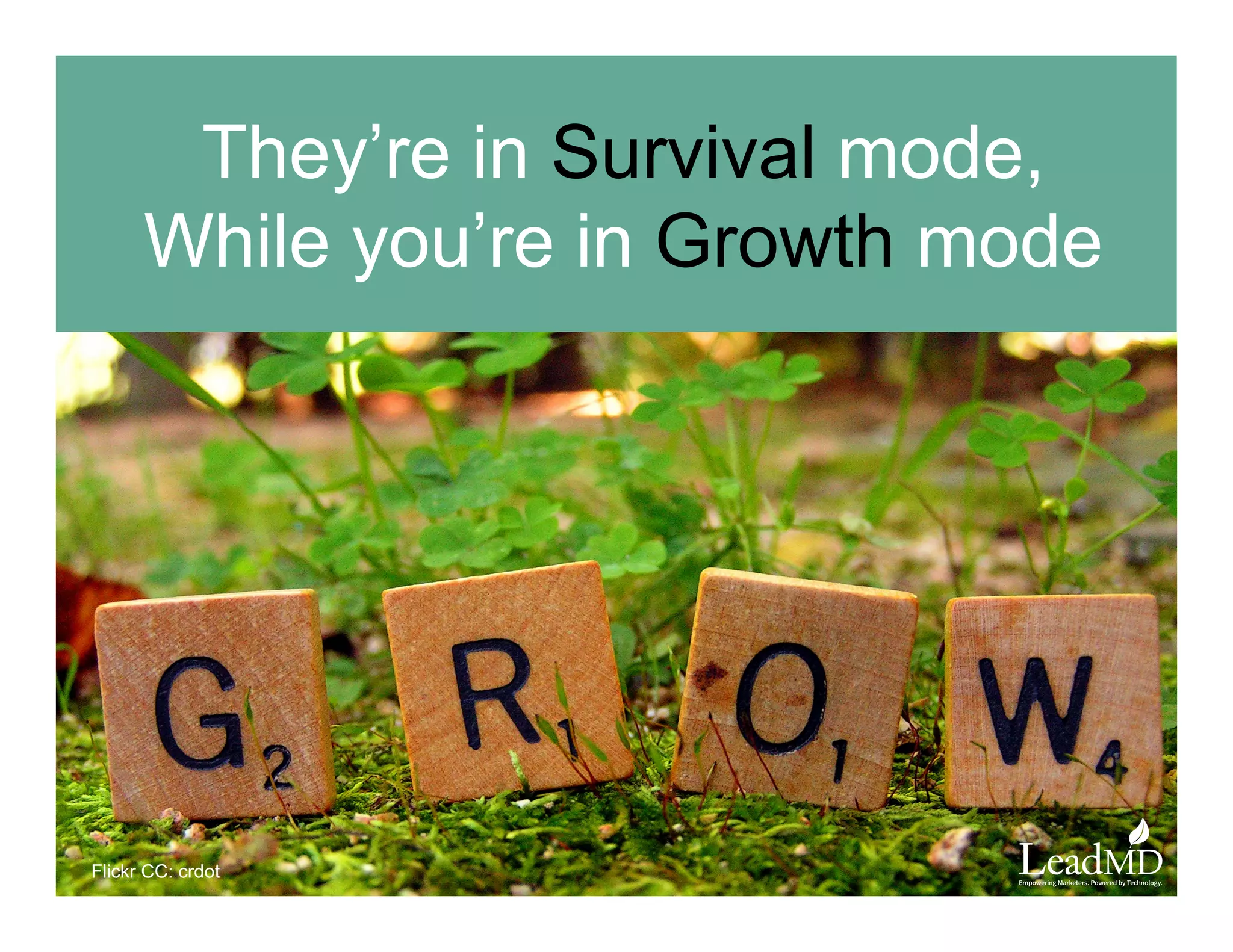 They’re in Survival mode,
While you’re in Growth mode
Flickr CC: crdot
 