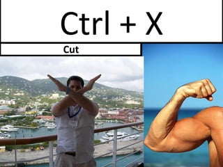 Ctrl + X Cut 