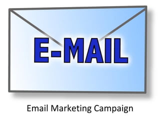 Email Marketing Campaign 