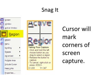 Snag It Cursor will mark corners of screen capture. 