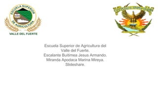 Escuela Superior de Agricultura del
Valle del Fuerte.
Escalante Buitimea Jesus Armando.
Miranda Apodaca Marina Mireya.
Slideshare.

 
