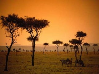 slideshare As panquecas de Mama Panya