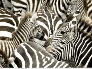 slideshare As panquecas de Mama Panya