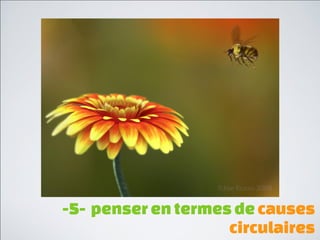 -2- multiplier les perspectives
 