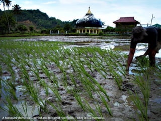 A Mosquee dome was carried and left amid rice fields. Today it is a memorial. 
