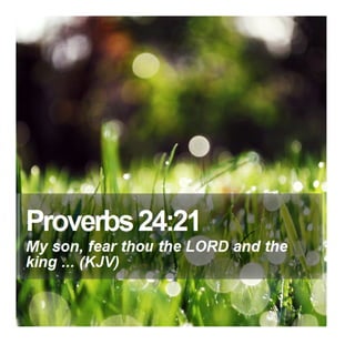 Proverbs 24:21 - Daily Bible Verse