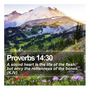 Proverbs 14:30 - Daily Bible Verse