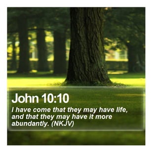 John 10:10 - Daily Bible Verse