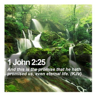 1 John 2:25 - Daily Bible Verse