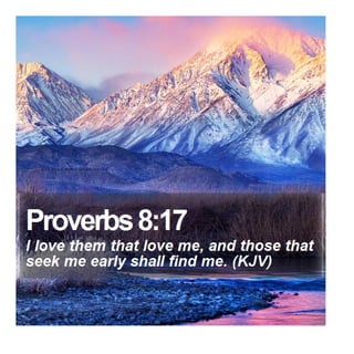 Proverbs 8:17 - Daily Bible Verse