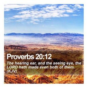Proverbs 20:12 - Daily Bible Verse