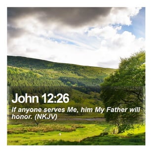 John 12:26 - Daily Bible Verse