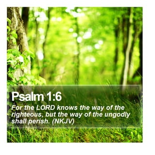 Psalm 1:6 - Daily Bible Verse