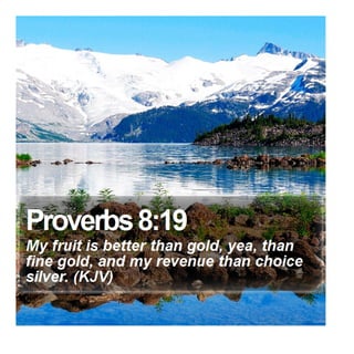Proverbs 8:19 - Daily Bible Verse