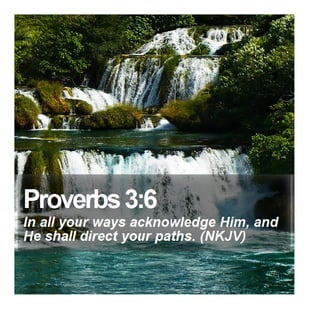 Proverbs 3:6 - Daily Bible Verse