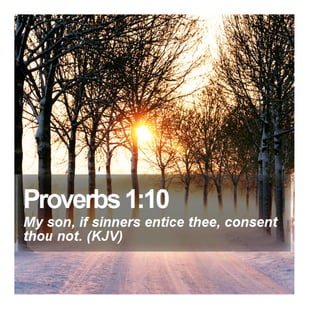 Proverbs 1:10 - Daily Bible Verse
