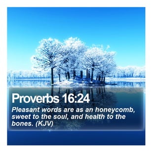 Proverbs 16:24 - Daily Bible Verse