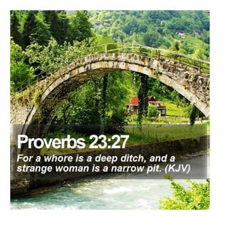 Proverbs 23:27 - Daily Bible Verse