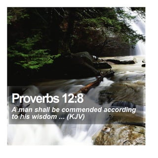 Proverbs 12:8 - Daily Bible Verse