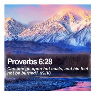 Proverbs 6:28 - Daily Bible Verse