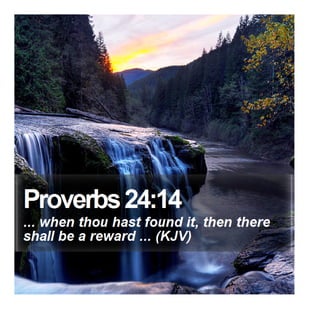 Proverbs 24:14 - Daily Bible Verse