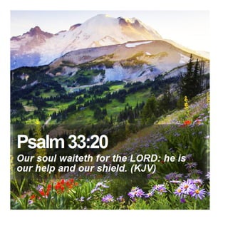 Psalm 33:20 - Daily Bible Verse