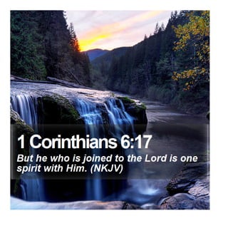 1 Corinthians 6:17 - Daily Bible Verse