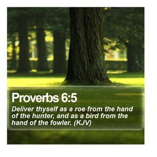 Proverbs 6:5 - Daily Bible Verse