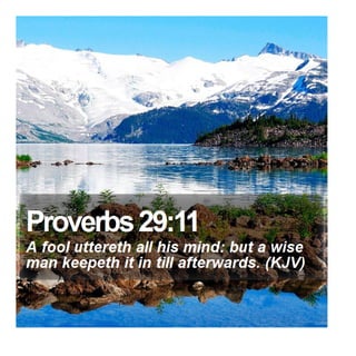 Proverbs 29:11 - Daily Bible Verse