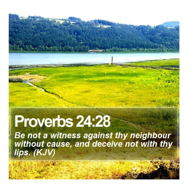 proverbs-24-28-daily-bible-verse-pdf-free-download