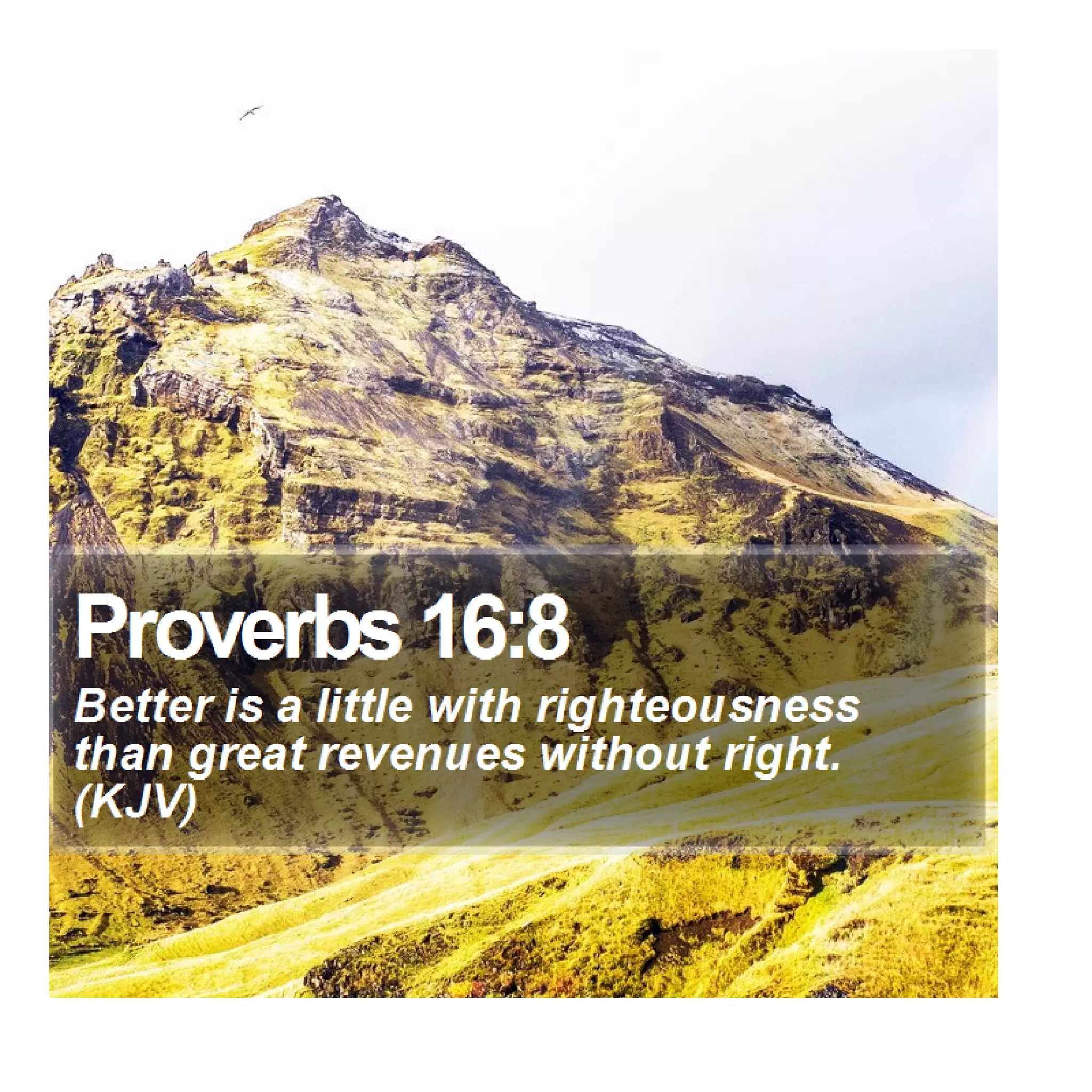 Proverbs 16:8 - Daily Bible Verse | PDF