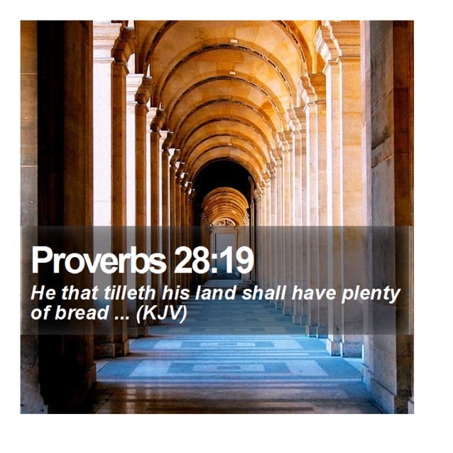 Proverbs 28:19 - Daily Bible Verse | PDF