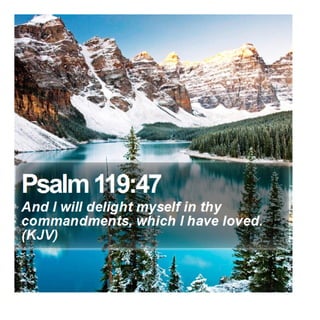 Psalm 119:47 - Daily Bible Verse