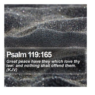 Psalm 119:165 - Daily Bible Verse