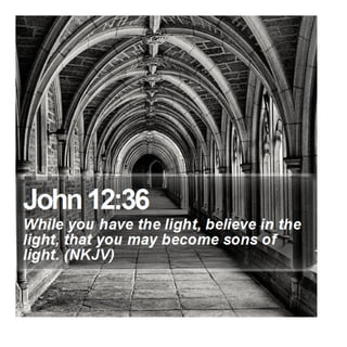 John 12:36 - Daily Bible Verse