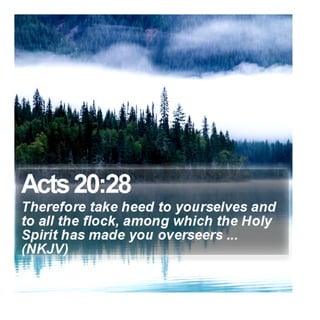 Acts 20:28 - Daily Bible Verse
