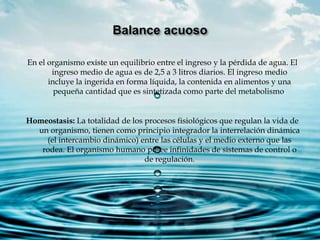 En el organismo existe un equilibrio entre el ingreso y la pérdida de agua. El
ingreso medio de agua es de 2,5 a 3 litros diarios. El ingreso medio
incluye la ingerida en forma líquida, la contenida en alimentos y una
pequeña cantidad que es sintetizada como parte del metabolismo.
Homeostasis: La totalidad de los procesos fisiológicos que regulan la vida de
un organismo, tienen como principio integrador la interrelación dinámica
(el intercambio dinámico) entre las células y el medio externo que las
rodea. El organismo humano posee infinidades de sistemas de control o
de regulación.
 