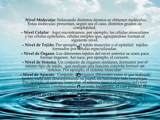  – Nivel Molecular: Enlazando distintos átomos se obtienen moléculas.
Estas moléculas presentan, según sea el caso, distintos grados de
complejidad.
 – Nivel Celular: Aquí encontramos, por ejemplo, las células musculares
y las células epiteliales, células simples que, agrupándose forman el
siguiente nivel.
 – Nivel de Tejido: Por ejemplo, el tejido muscular o el epitelial: tejidos
formados por células especializadas.
 – Nivel de Órgano: Los diferentes tejidos del nivel anterior se unen para
formar órganos. Así nace, por ejemplo, el corazón.
 – Nivel de Sistema: Un conjunto de órganos similares, formados por el
mismo tipo de tejido, que realizan una función concreta forman un
sistema. Por ejemplo, el sistema muscular.
 – Nivel de Aparato: Conjunto de órganos diferentes entre sí que trabajan
juntos, cada uno desempeñando su papel, en funciones más complejas.
Por ejemplo, el sistema muscular, el sistema óseo y el sistema nervioso
trabajan juntos constituyendo el aparato locomotor, el cual permite el
movimiento de los seres vivos.
 – Nivel de Organismo: El ser vivo propiamente dicho, en el cual
coexisten organismos formados de muchas células, o pluricelulares, y
otros formados por sólo una célula o unicelulares.
 