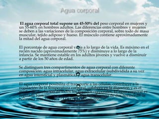 El agua corporal total supone un 45-50% del peso corporal en mujeres y
un 55-60% en hombres adultos. Las diferencias entre hombres y mujeres
se deben a las variaciones de la composición corporal, sobre todo de masa
muscular, tejido adiposo y hueso. El músculo contiene aproximadamente
la mitad del agua corporal.
El porcentaje de agua corporal varía a lo largo de la vida. Es máximo en el
recién nacido (aproximadamente 75%) y disminuye a lo largo de la
infancia. Se mantiene estable en los adultos jóvenes y vuelve a disminuir
a partir de los 50 años de edad.
Se distinguen tres compartimentos de agua corporal con diferente
composición: agua intracelular, agua extracelular (subdividida a su vez
en agua intersticial y plasmática) y agua transcelular.
El agua corporal posibilita el transporte a las células, contribuye a la
regulación de la temperatura corporal, colabora en la digestión y es el
medio de disolución de todos los líquidos corporales. El agua corporal es
regulada básicamente por el riñón por la influencia de dos hormonas: la
hormona anti diurética (ADH) y la aldosterona.
 