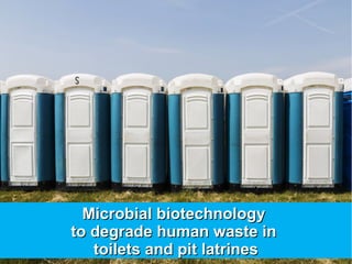 Microbial biotechnologyMicrobial biotechnology
to degrade human waste into degrade human waste in
toilets and pit latrinestoilets and pit latrines
 