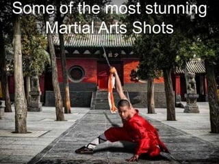 Some of the most stunning
Martial Arts Shots
 