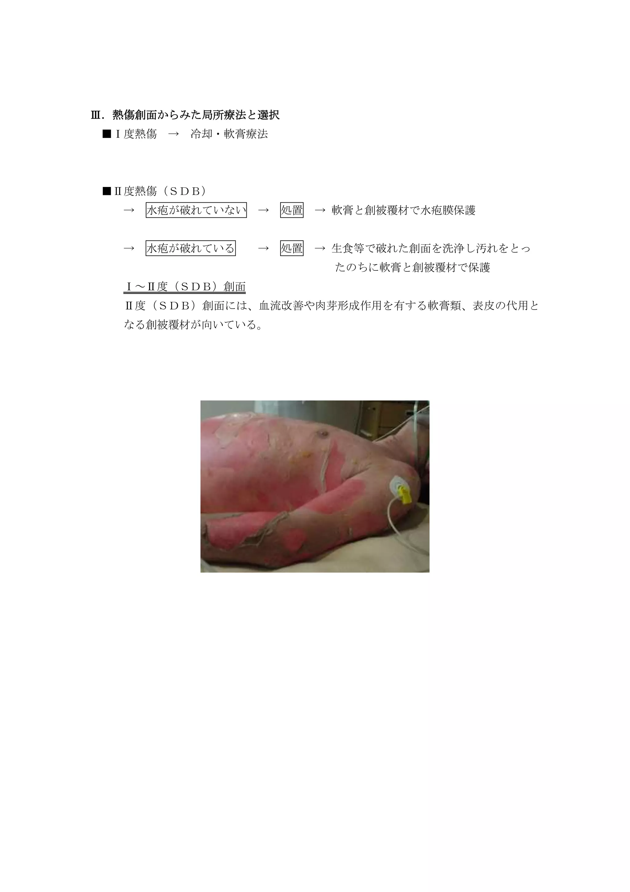 熱傷治療マニュアル 改訂2版 m3電子書籍 | 熱傷治療マニュアル 改訂2版