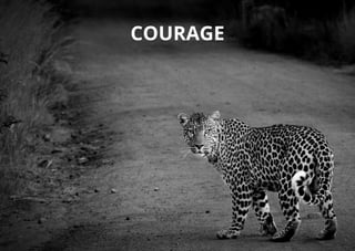 Courage
 