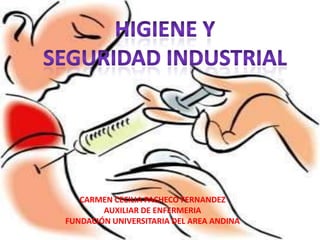 Higiene y  Seguridad industrial CARMEN CECILIA PACHECO FERNANDEZ AUXILIAR DE ENFERMERIA FUNDACIÓN UNIVERSITARIA DEL AREA ANDINA 